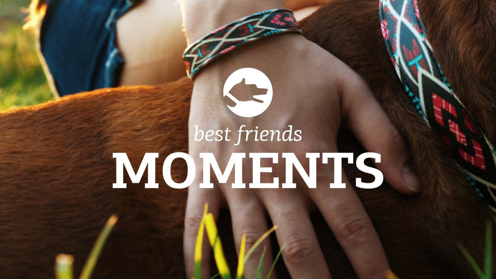 Best Friends Moments di ArgusCollar: "The Heat Wave"
