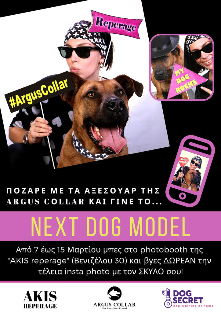 Scopri il PROSSIMO MODELLO DI CANE su ArgusCollar