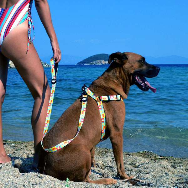 "The Watermelon Dog Harness" - ArgusCollar