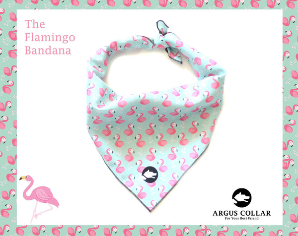 The "Flamingo" Dog Bandana - ArgusCollar