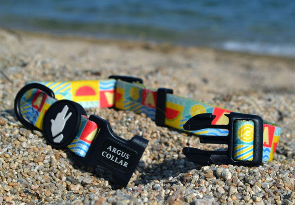 "The Watermelon Dog Collar" - ArgusCollar
