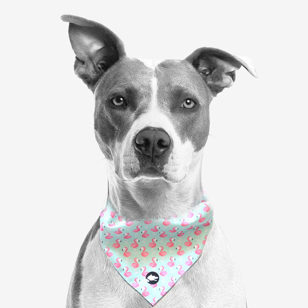 The "Flamingo" Dog Bandana - ArgusCollar