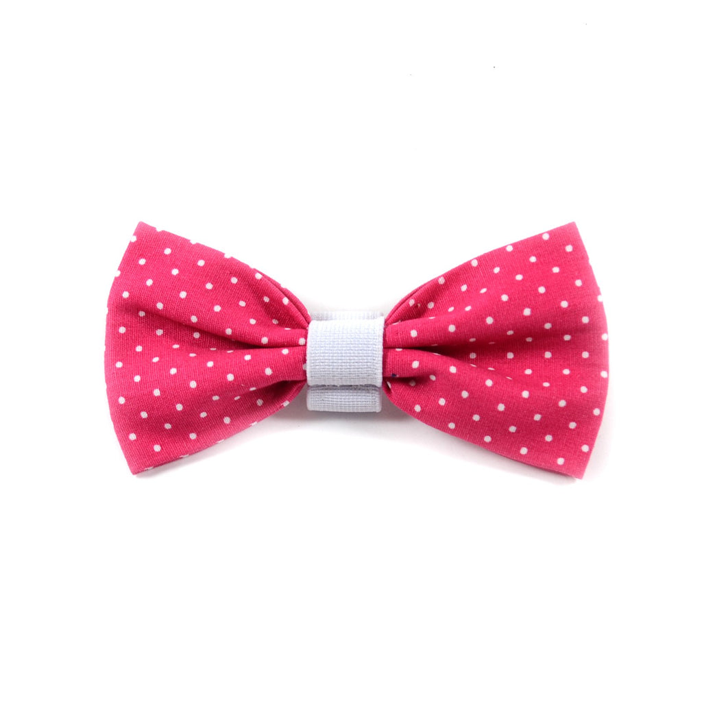 The "Pinky Dot" Dog Bow Tie - ArgusCollar