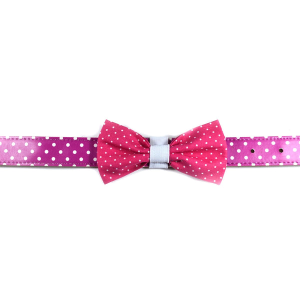 The "Pinky Dot" Dog Bow Tie - ArgusCollar